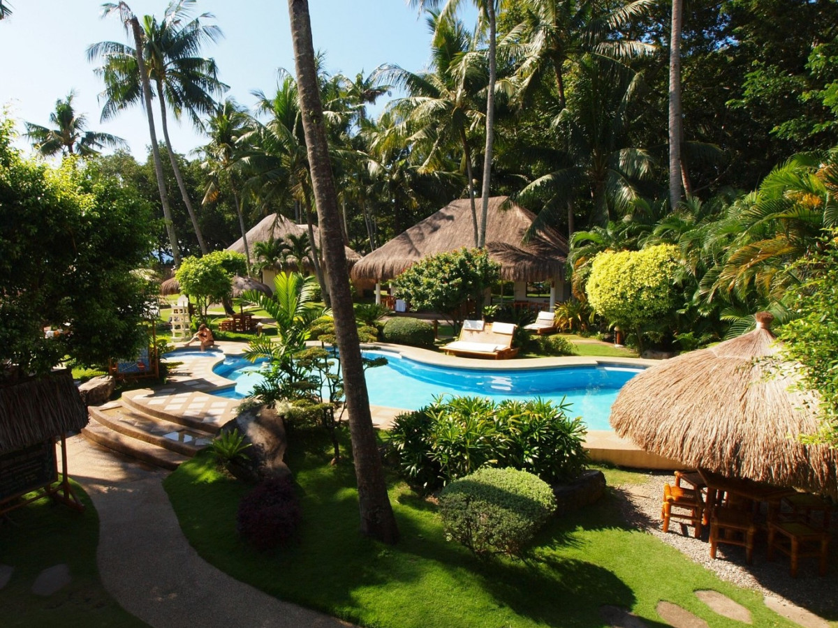 zwembad bungalow pura vida - Undiscovered.nl