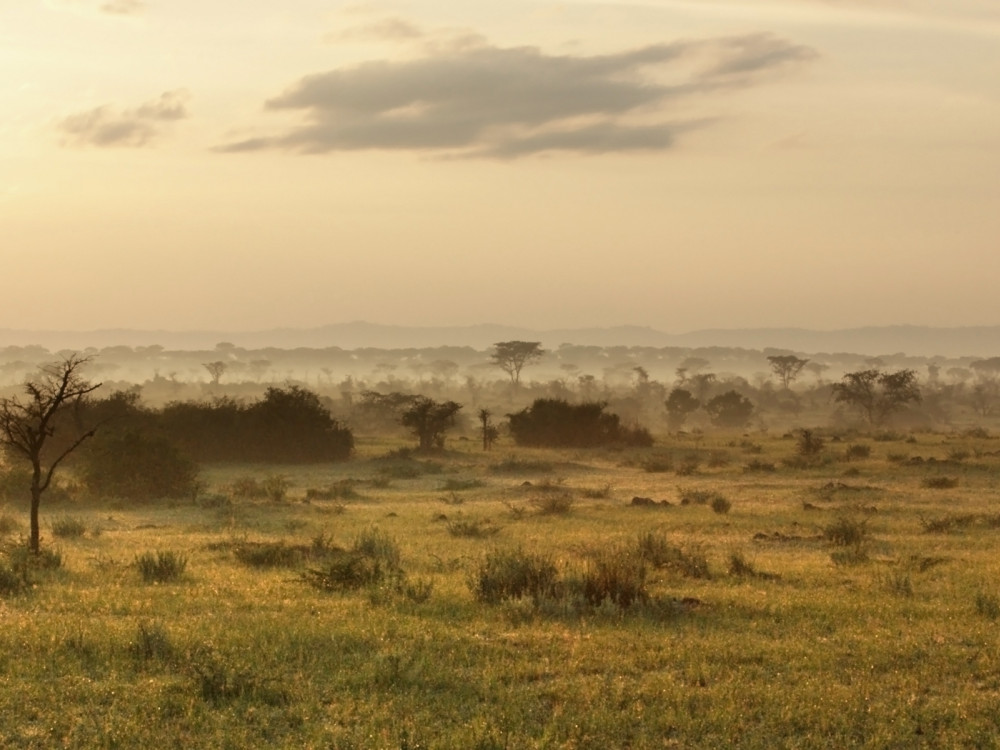 Landschap in Oeganda - Undiscovered.nl