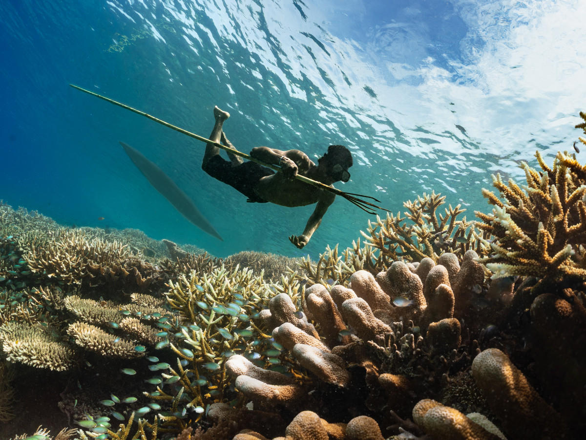 Speervissen bij Arborek in Raja Ampat, Iris Uijttewaal - Undiscovered.nl