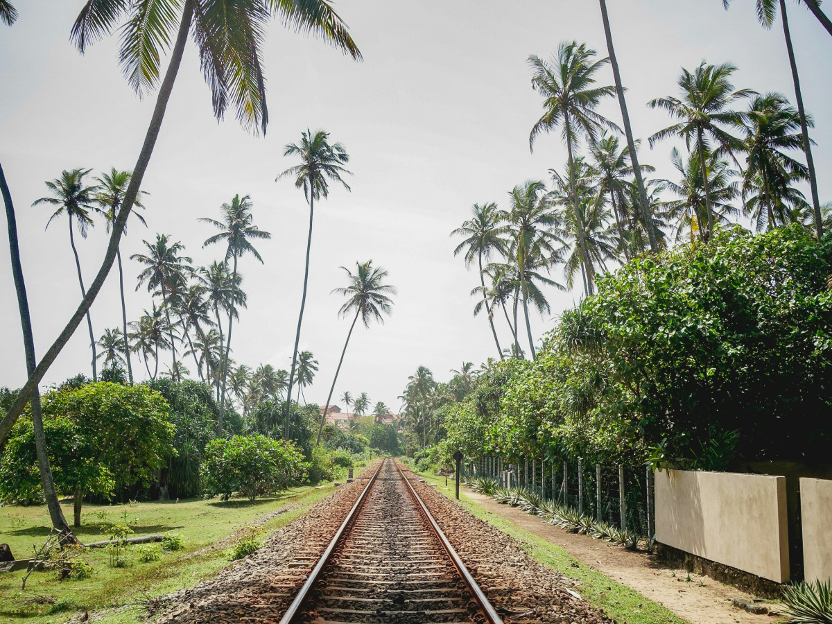 Treinreis Sri Lanka - Undiscovered.nl