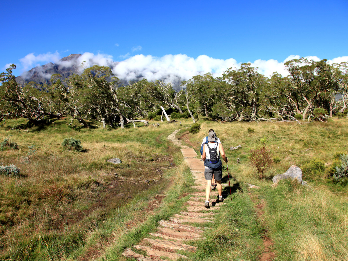 Hiken in Réunion - Undiscovered.nl