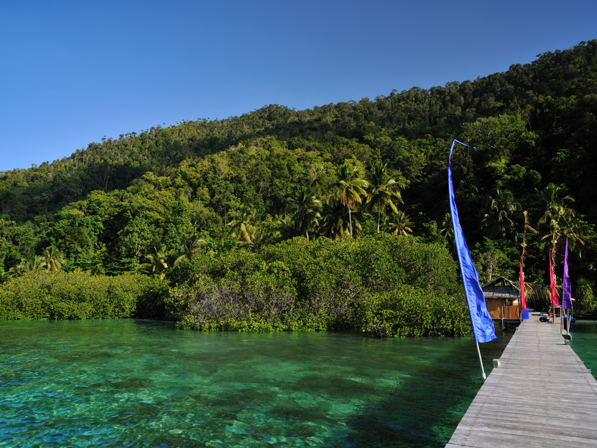 Omgeving Raja Ampat Dive Lodge, Oost-Indonesië - Undiscovered.nl