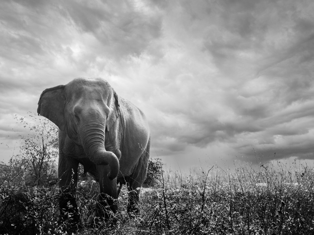 Persoonlijke pagina Quinty - Undiscovered.nl