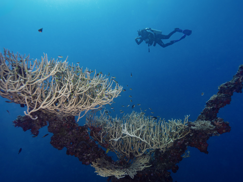 Persoonlijke pagina Tessa - Undiscovered.nl