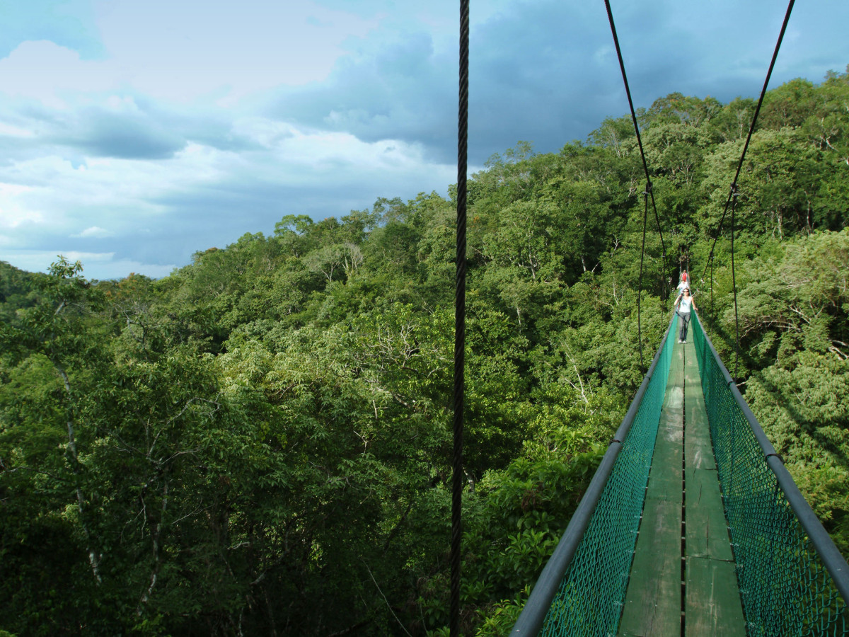 Hoge brug in Guatemala - Undiscovered.nl