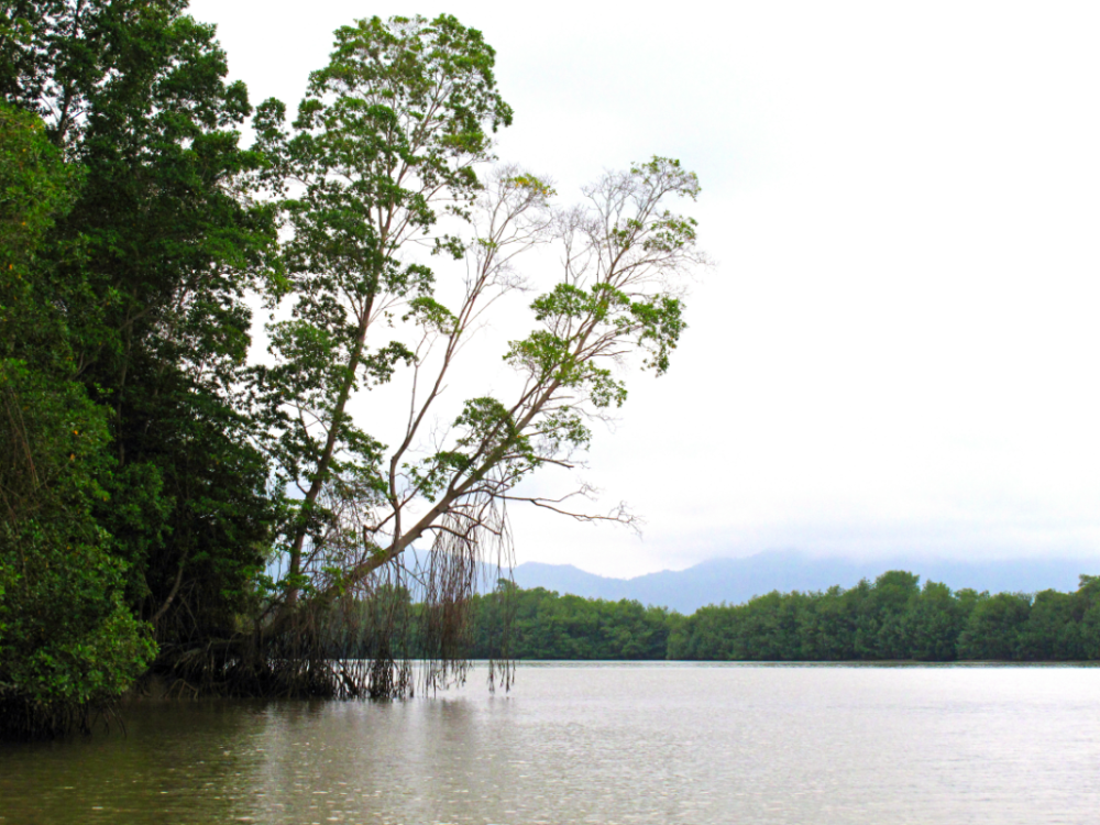 Manglares Churute, Ecuador - Undiscovered.nl
