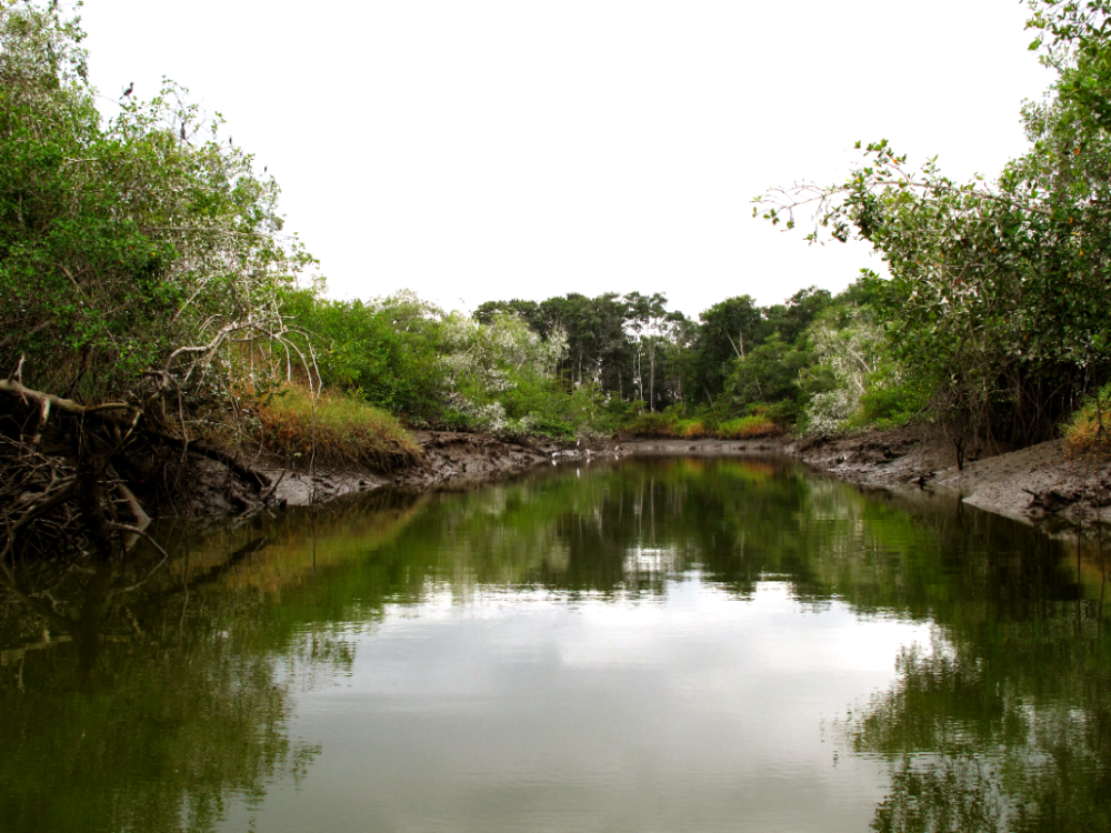 Manglares Churute, Ecuador - Undiscovered.nl