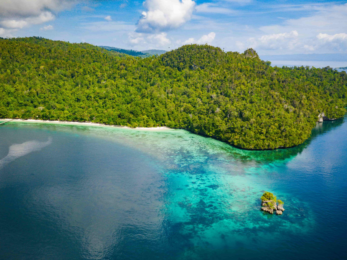 Raja Ampat Biodiversity Resort - Undiscovered.nl