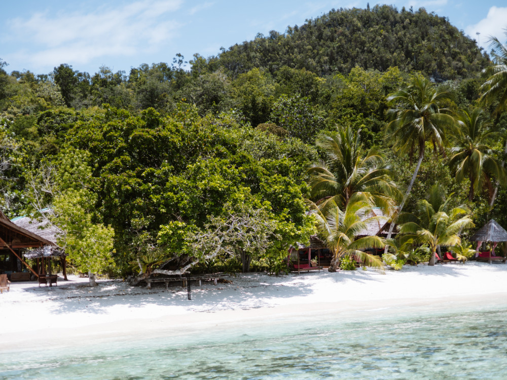 Raja Ampat Biodiversity Resort - Undiscovered.nl