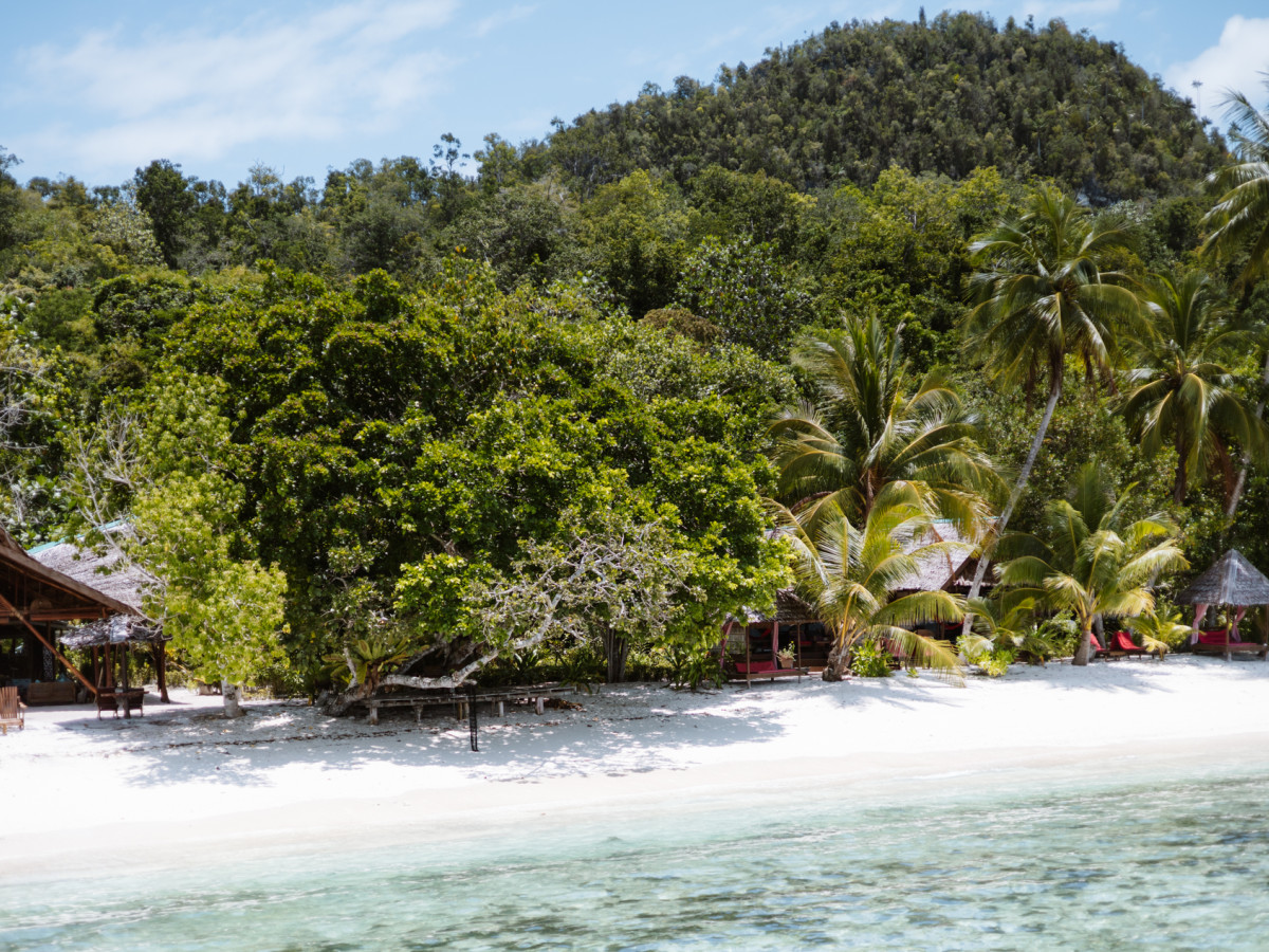 Raja Ampat Biodiversity Resort - Undiscovered.nl