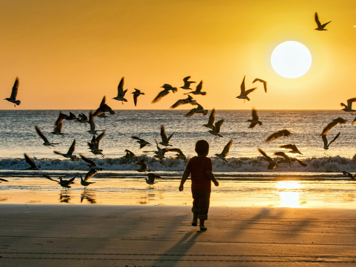 Kind op het strand met zonsondergang - Undiscovered.nl