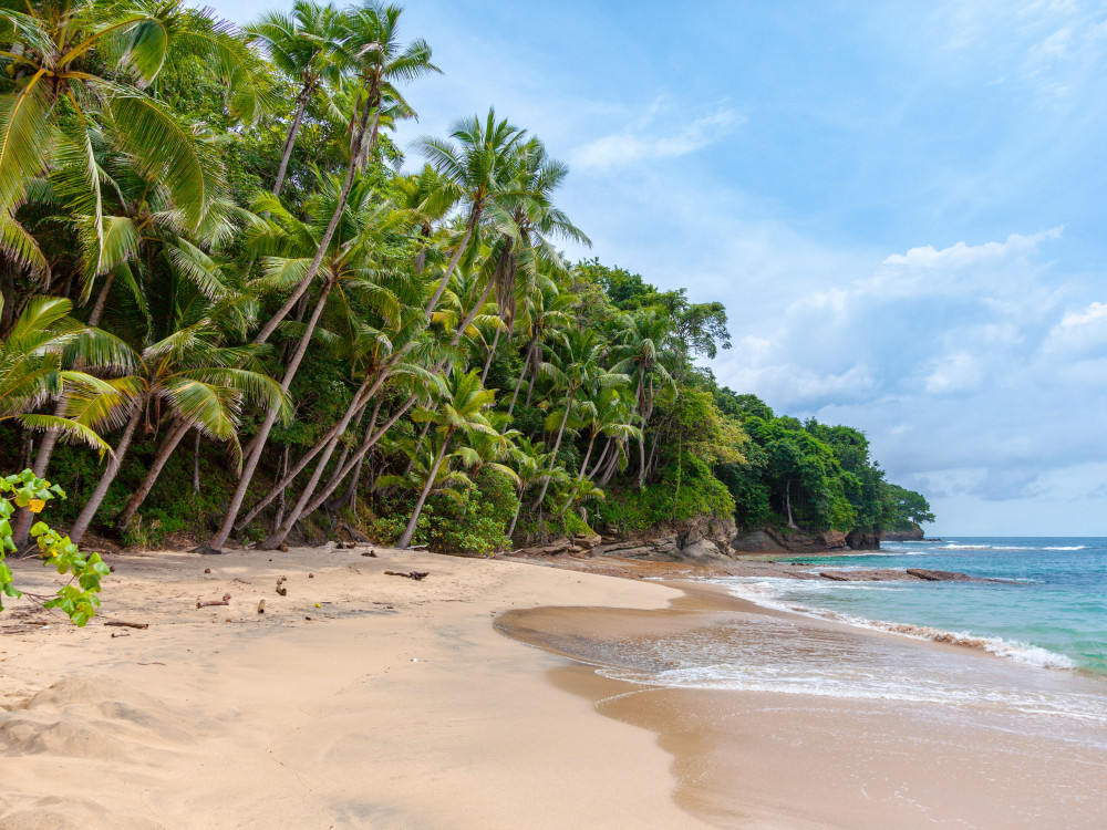 Strand in Sri Lanka - Undiscovered.nl