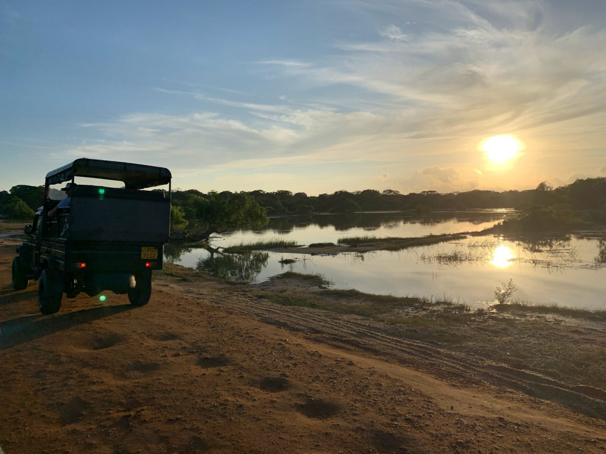 Safari in Yala National Park, Sri Lanka - Undiscovered.nl