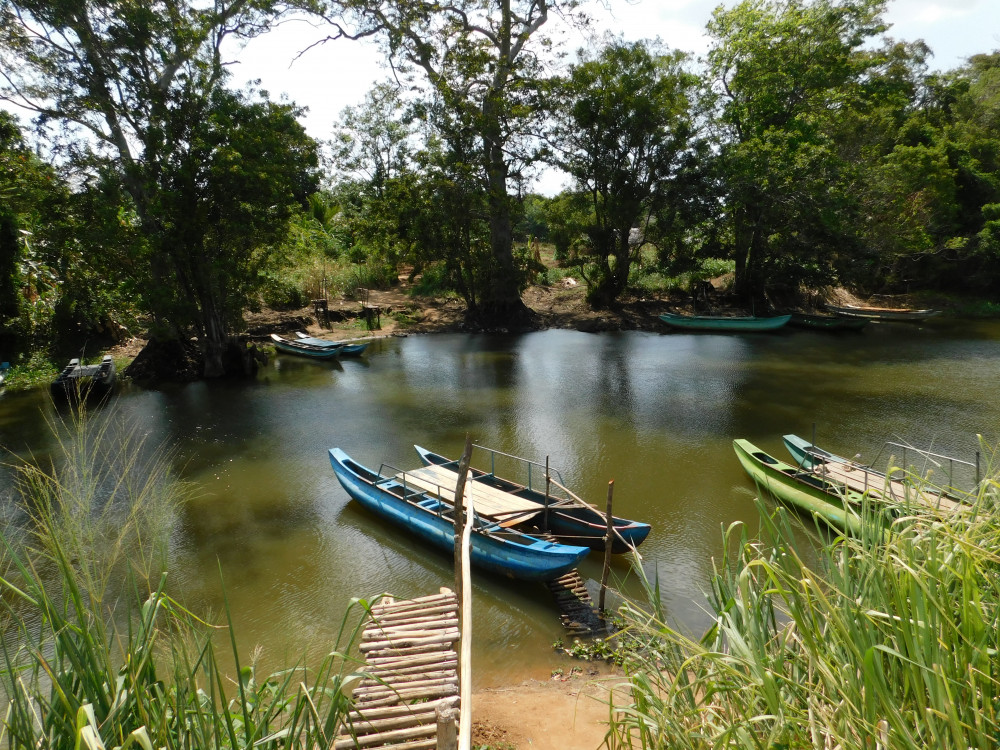Bootje in de natuur van Sri Lanka - Undiscovered.nl