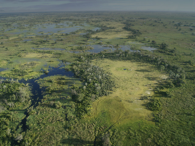 Okavango Delta, Botswana - Undiscovered.nl