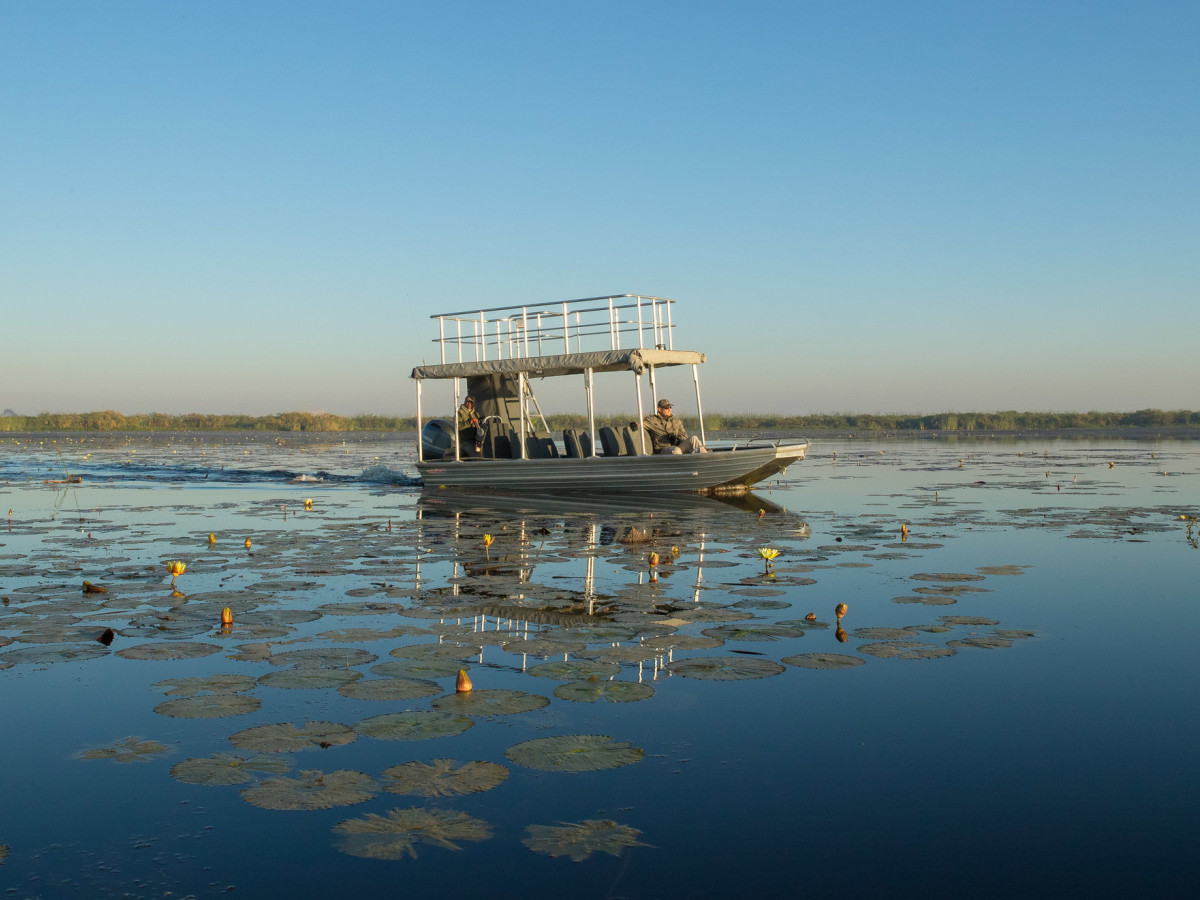 Bootsafari in Okavango Delta, Botswana - Undiscovered.nl