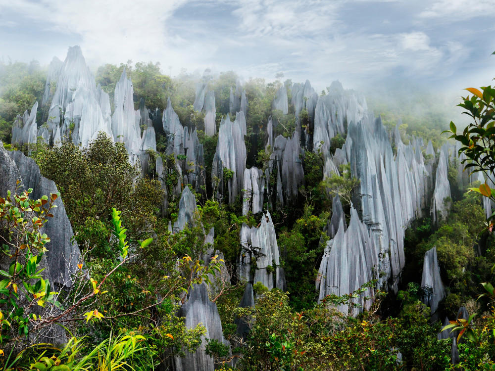 Mulu National Park, Borneo - Undiscovered.nl