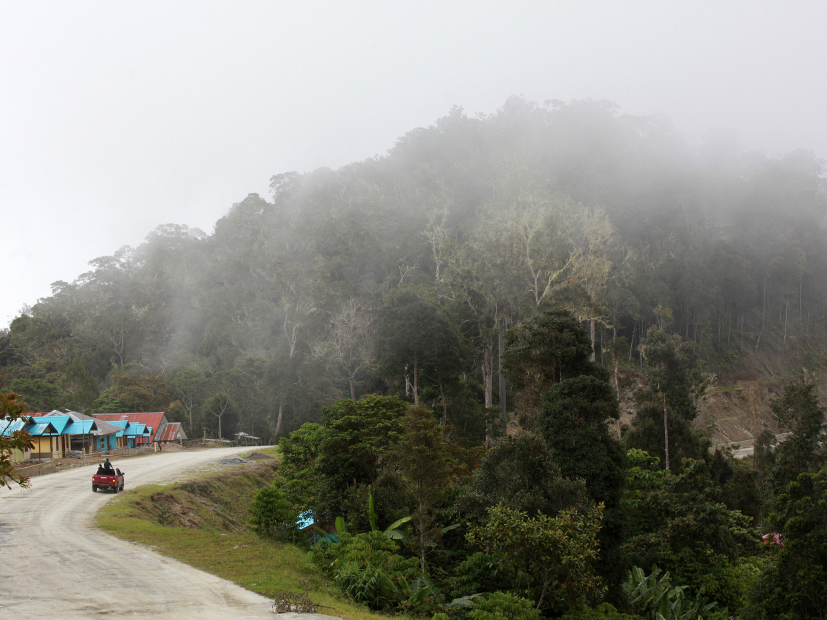 Arfak Mountains in West-Papoea, Oost-Indonesië - Undiscovered.nl