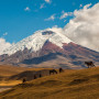 Cotopaxi in Ecuador - Undiscovered.nl
