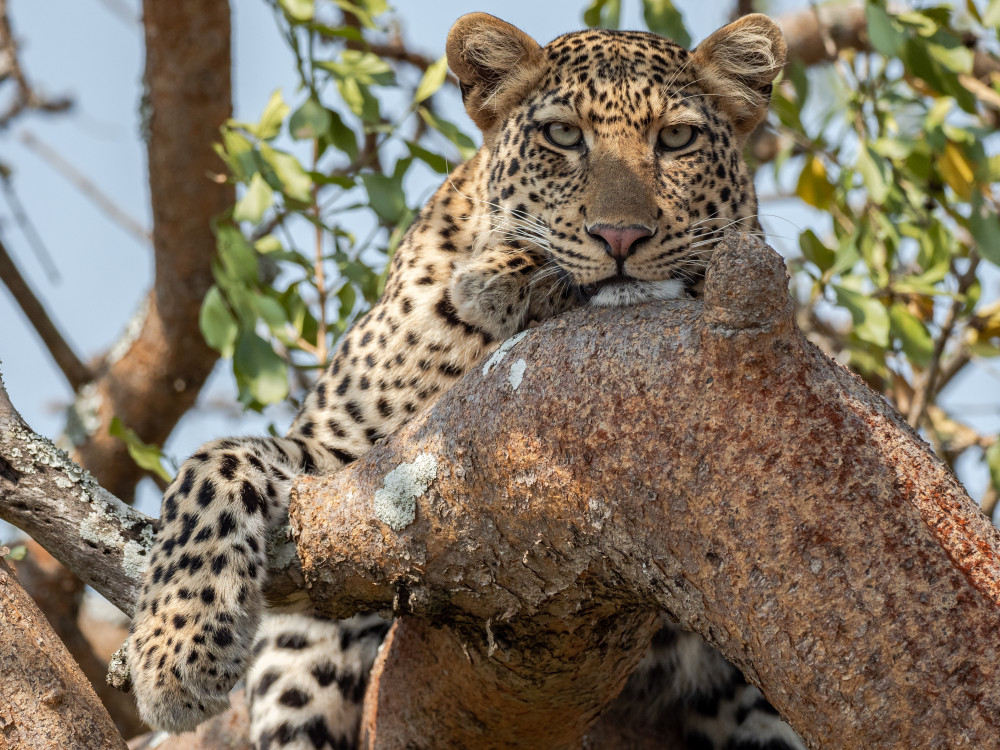 Akagera National Park Rwanda - Undiscovered.nl