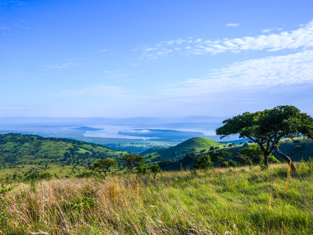Landschap Akagera National Park Rwanda - Undiscovered.nl
