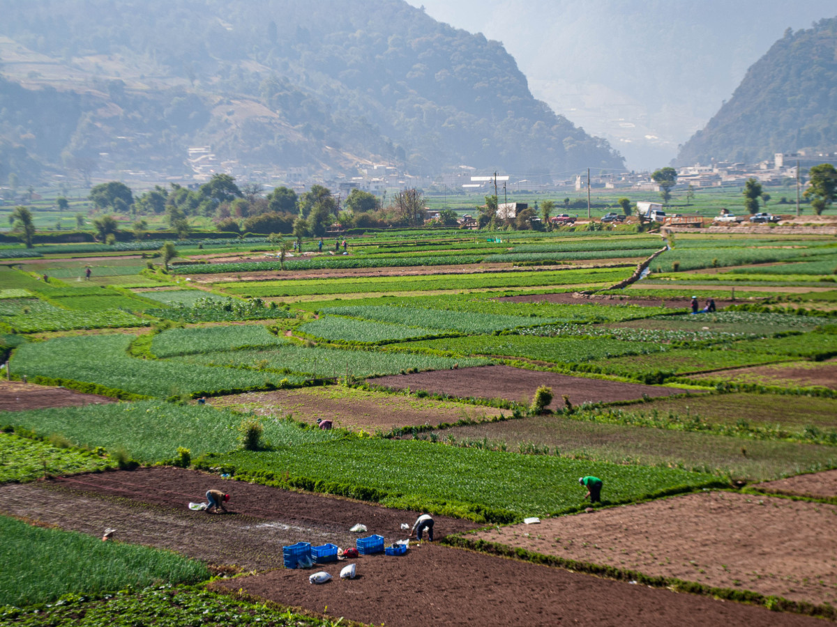 Almolonga Vallei Guatemala - Undiscovered.nl