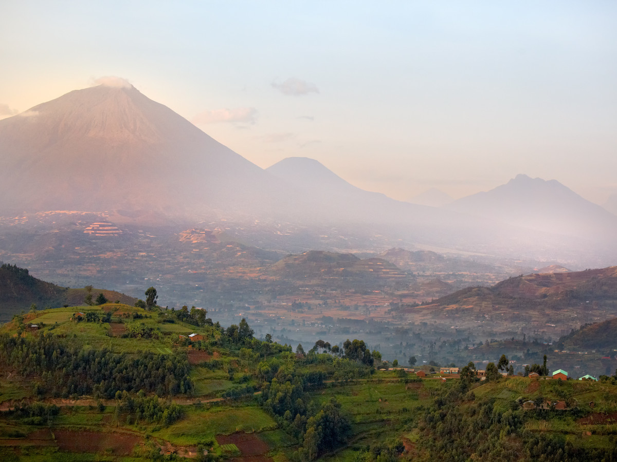 Virunga vulkanen en Mgahinga Gorilla National Park, Oeganda - Undiscovered.nl