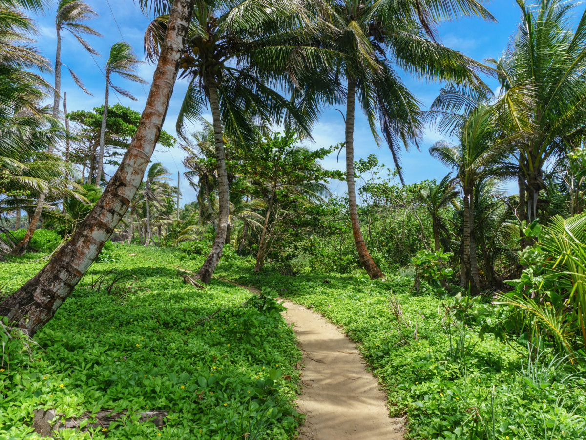 Corn Islands, Nicaragua - Undiscovered.nl