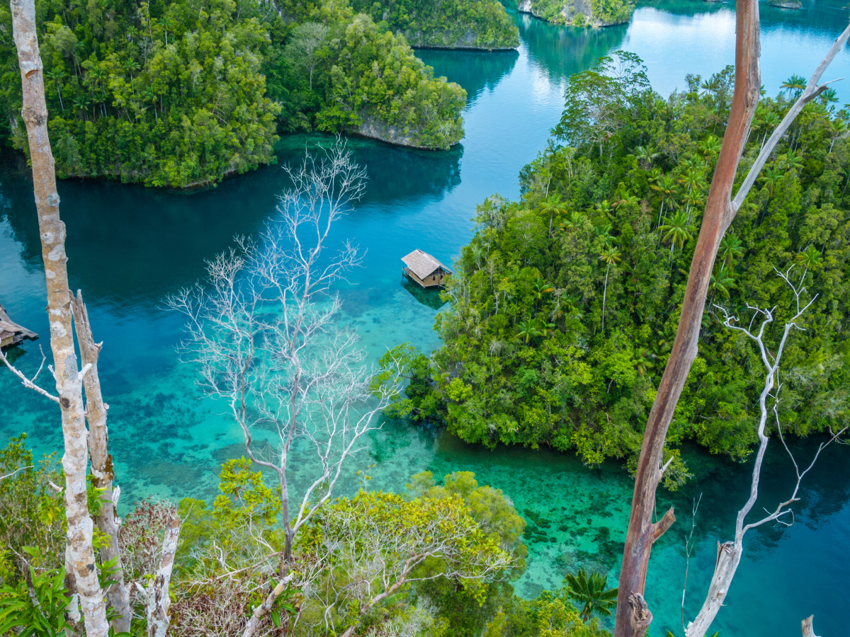 Uitzichtpunt bij The Passage in Raja Ampat, Oost-Indonesië - Undiscovered.nl