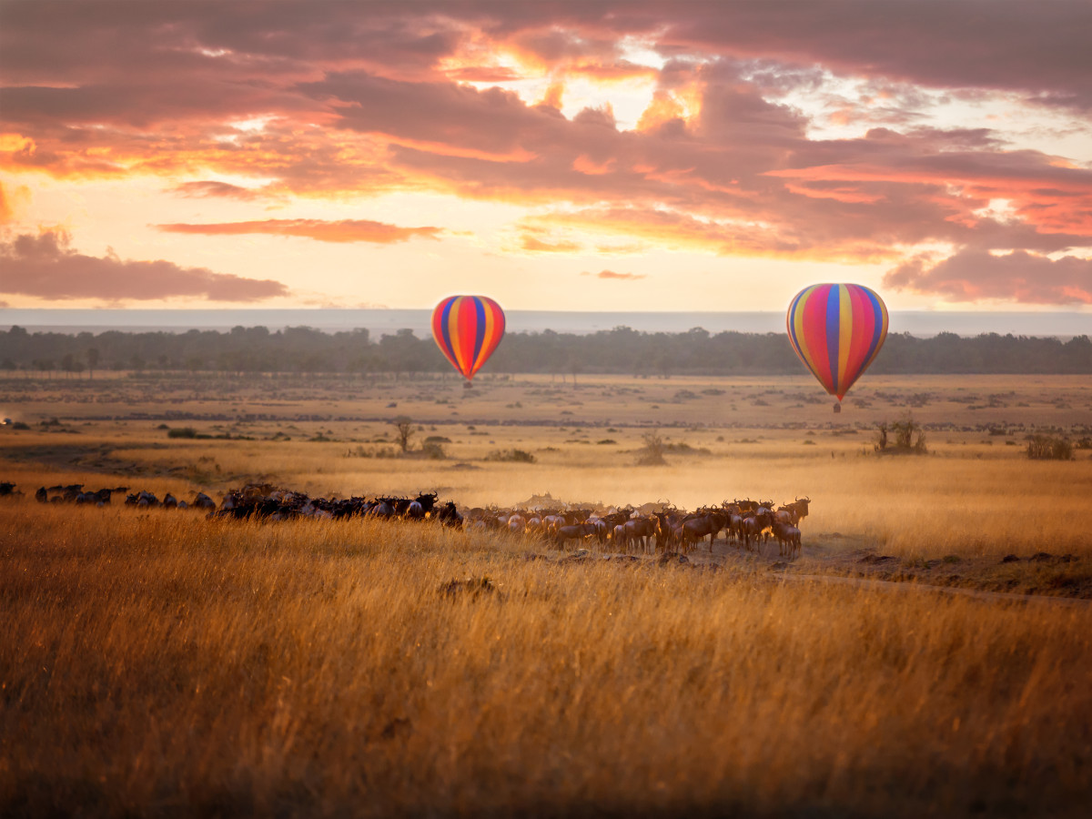 Balloonvaart zonsondergang gnoe's masai mara & Serengeti - Undiscovered.nl