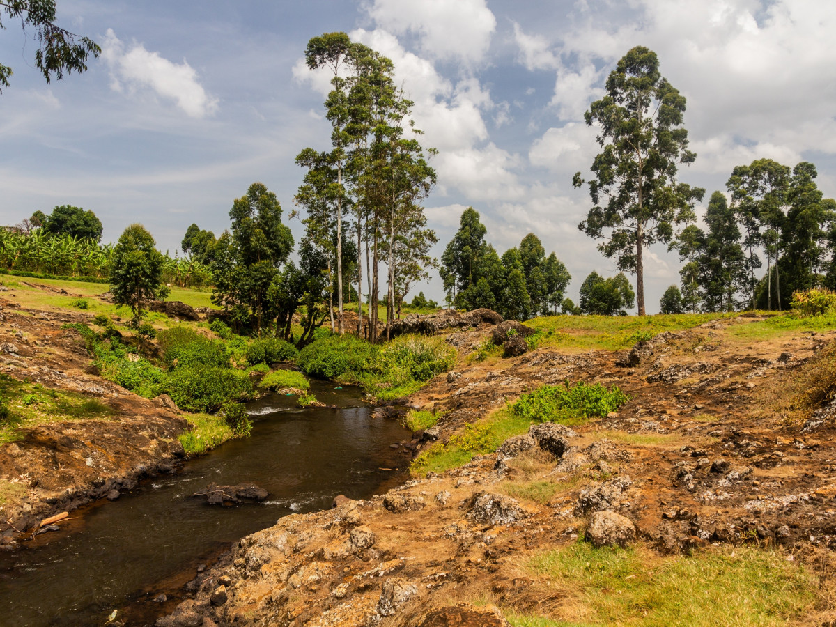 Mount Elgon National Park, Oeganda - Undiscovered.nl