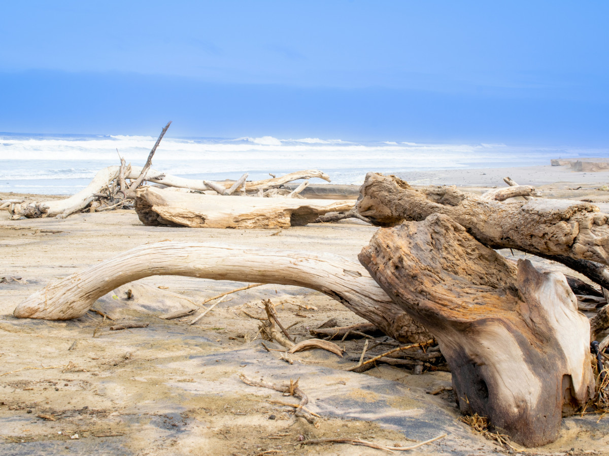 Skeleton Coast, Namibië - Undiscovered.nl