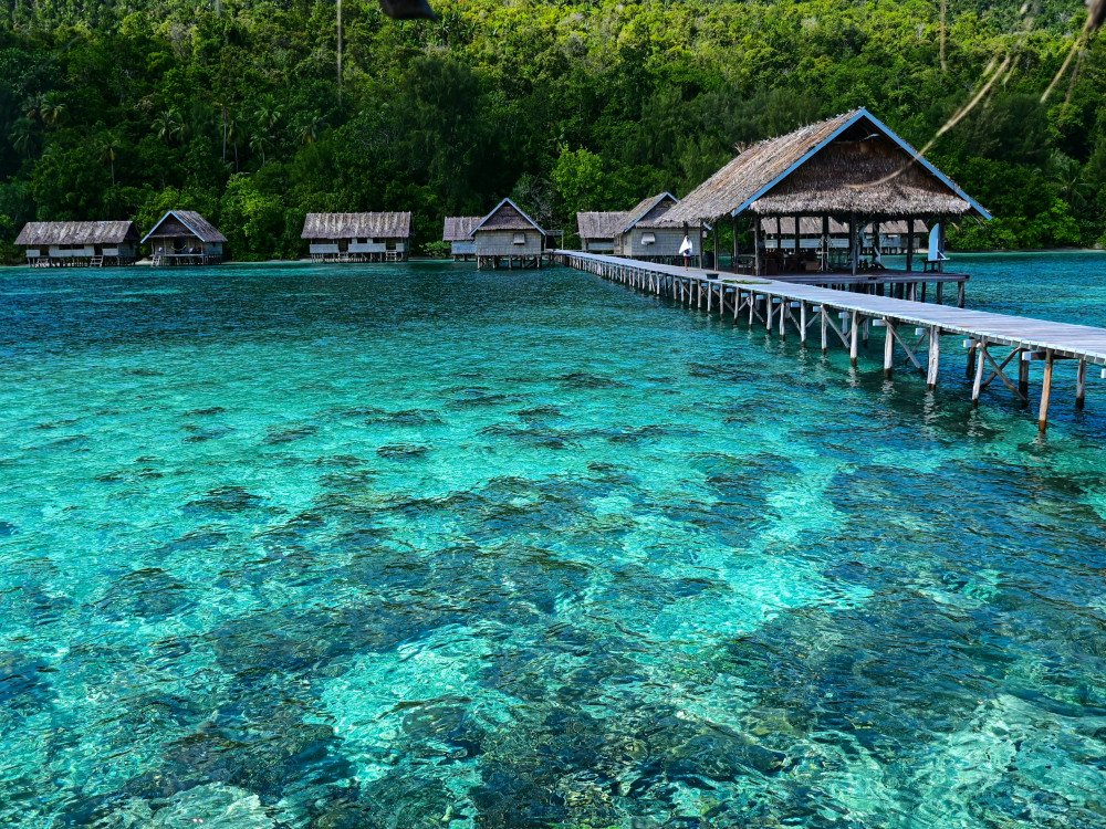 Koraal in Raja Ampat, Oost-Indonesië - Undiscovered.nl