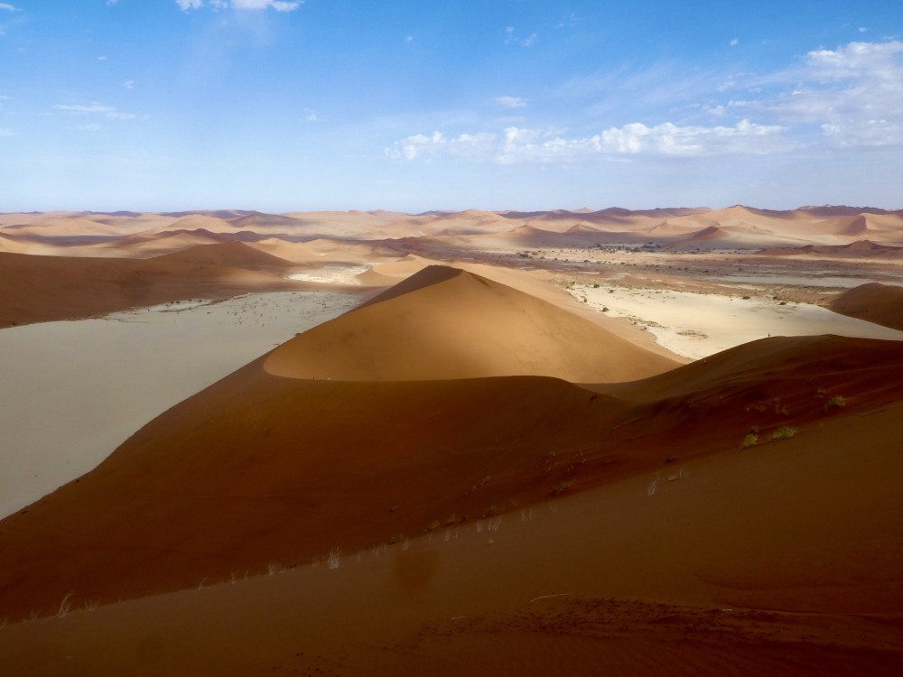 Sossusvlei, Namibië - Undiscovered.nl