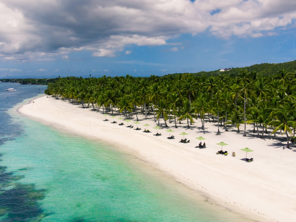 south palms strand zee palmbomen panglao filipijnen - Undiscovered.nl