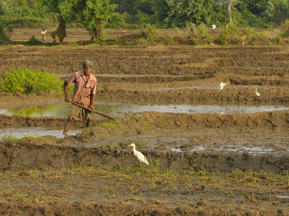 Lokale bevolking van Sri Lanka - Undiscovered.nl