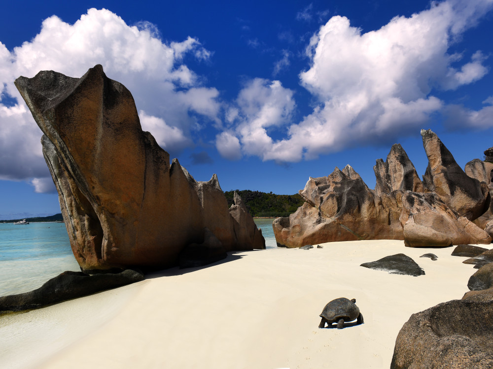 Curieuse Island Seychellen - Undiscovered.nl