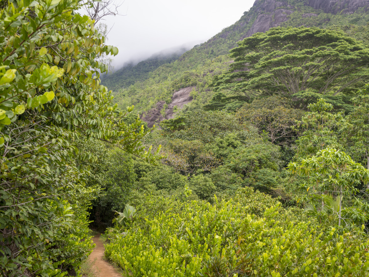 Lower Trois Frère Mahé Seychellen - Undiscovered.nl