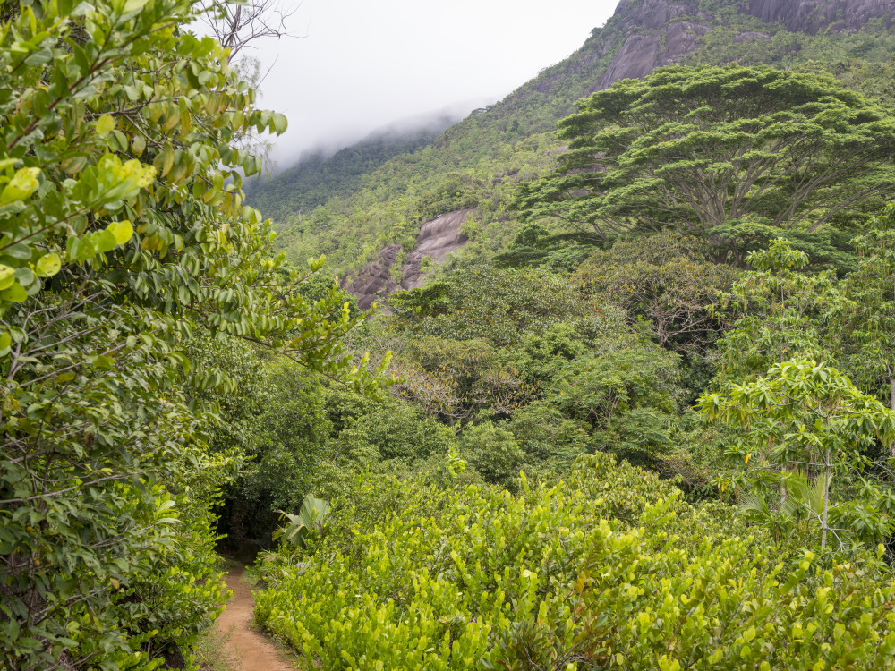 Morne Seychellois National Park Mahé Seychellen - Undiscovered.nl