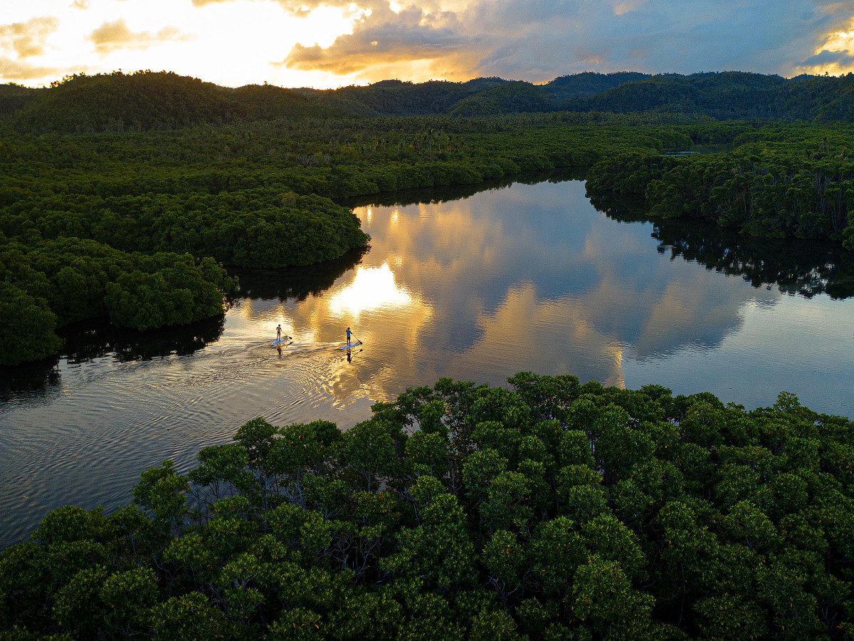 Suppen door mangroves met Nay Palad - Undiscovered.nl