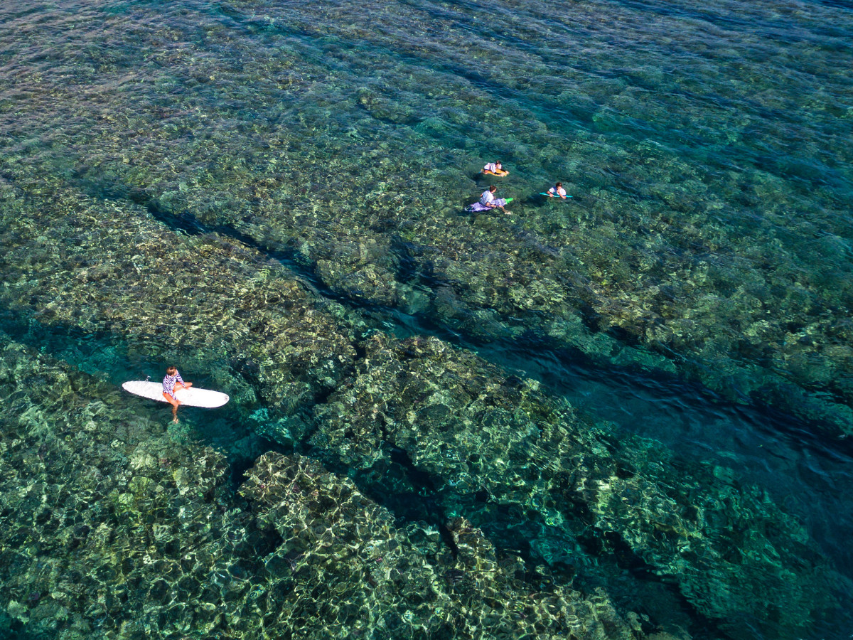 Surfers op Réunion - Undiscovered.nl