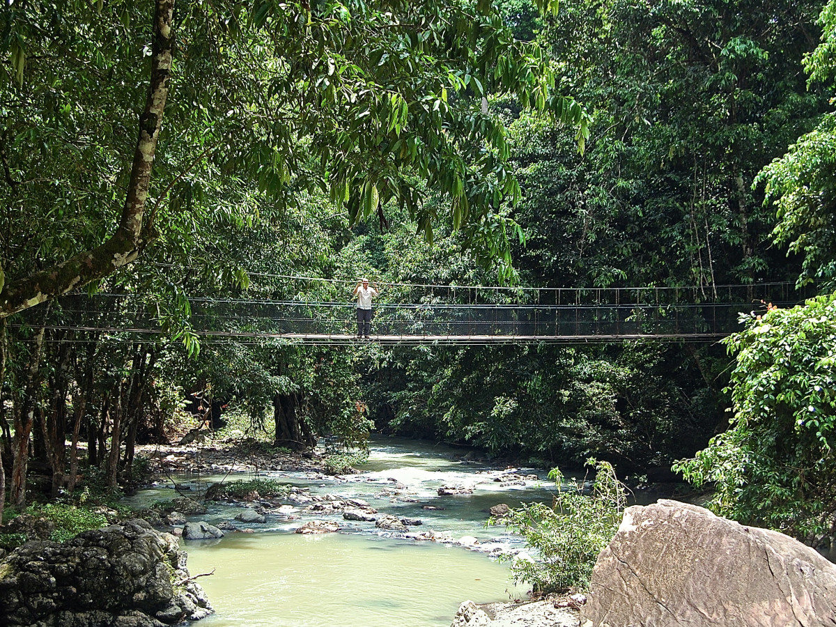 Tabin Wildlife Reserve, Borneo - Undiscovered.nl