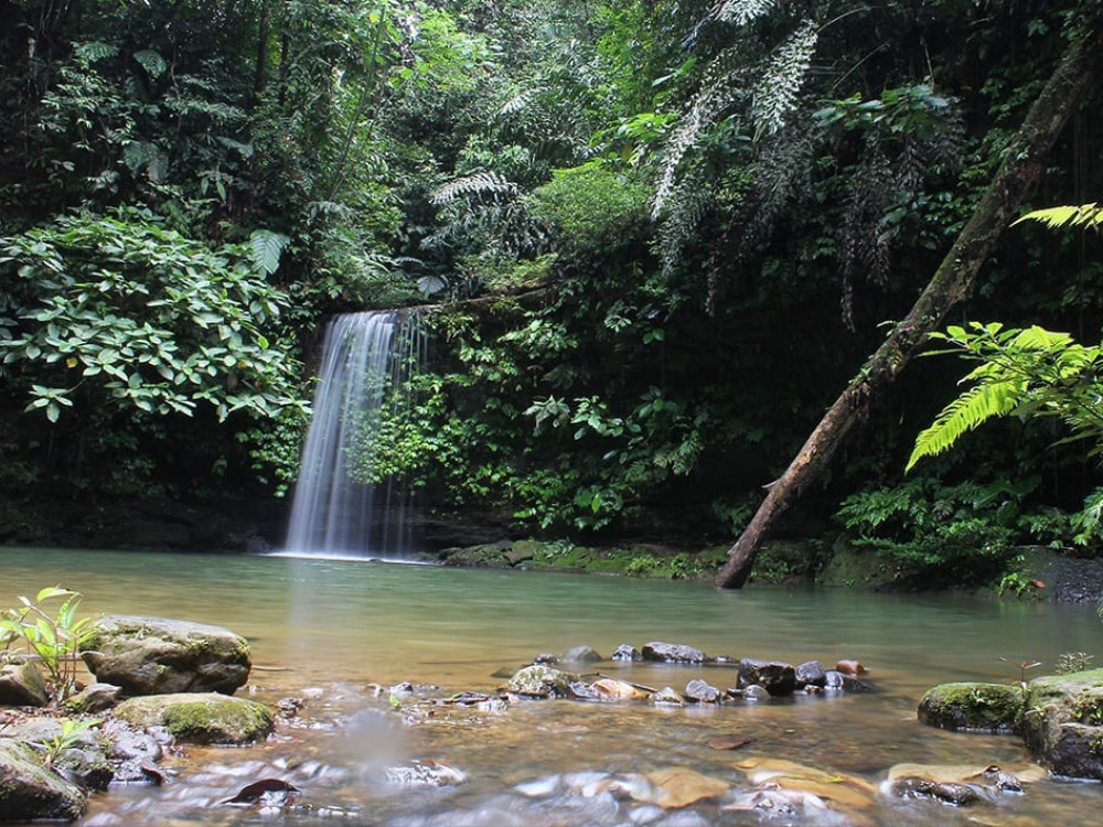 Waterval in Borneo - Undiscovered.nl
