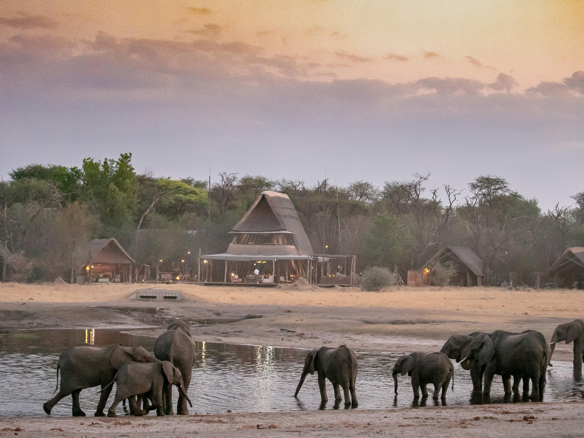 Somalisa Hwange National Park Zimbabwe - Undiscovered.nl