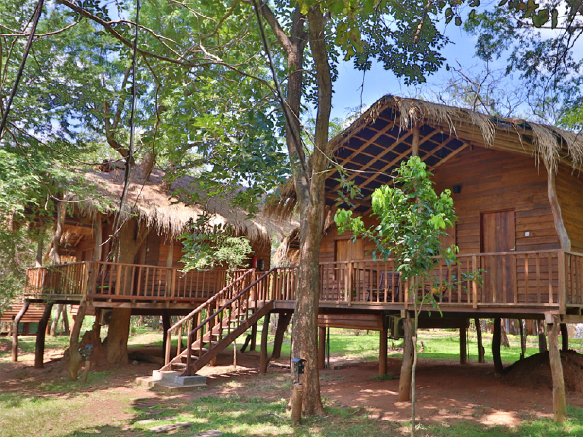 The Other Corner, Sri Lanka - Undiscovered.nl