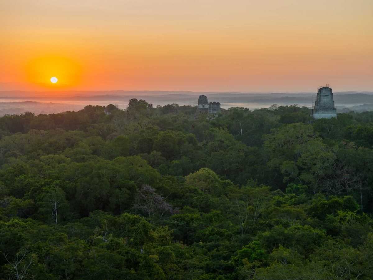 Zonsopgang Tikal, Guatemala - Undiscovered.nl