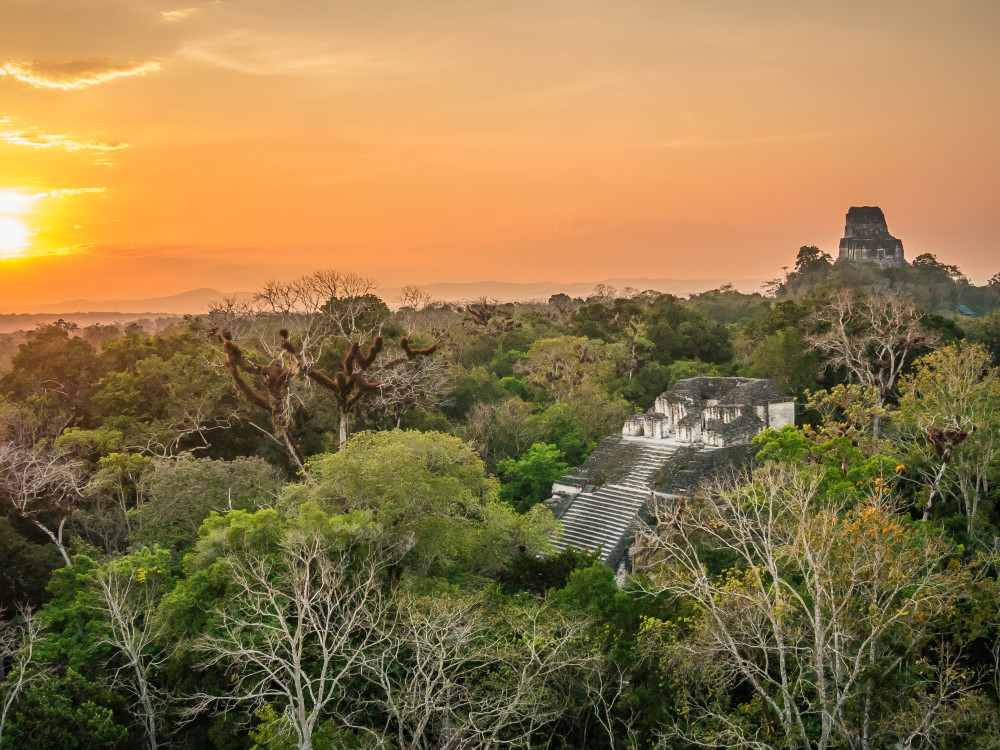 Tempels in Tikal, Guatemala - Undiscovered.nl