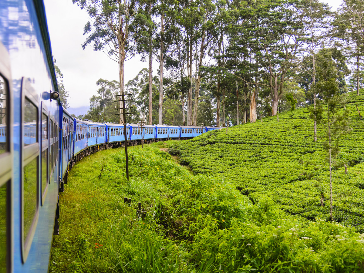 Trein in Nuwara Eliya Sri Lanka - Undiscovered.nl