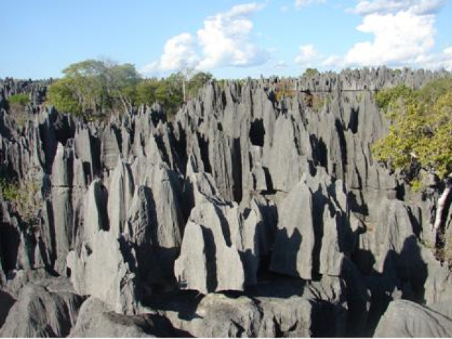 Tsingy de Bemaraha Madagascar - Undiscovered.nl