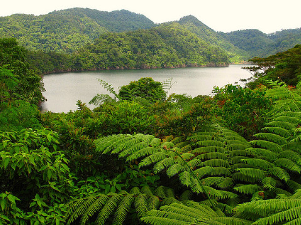 Twin Lakes National Park in de Filipijnen - Undiscovered.nl